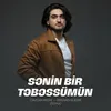 About Sənin Bir Təbəssümün Remix Song