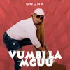 About Vumbi La Mguu Song