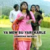 About YA MEW SU YARI KARLE Song