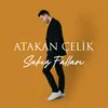 About Sakız Falları Song