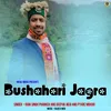 About Bushahari Jagra Song