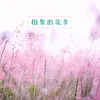 About 相聚的花季 Song