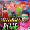 Bhool Gaeeloo Pyaar