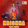 About Krishna Flute Music Song