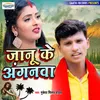 About Janu Ke Anganwa Song