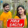 Maya Bagiya Chhattisgarhi Song