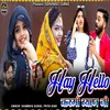 About Hay Hello Kargi Byan Ji Song