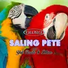 About Saling Pete Song