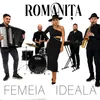 About Femeia ideală Song