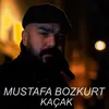 About Kaçak Song