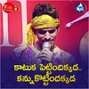 About Kaatuka Vettindi Ikkada Kannu Kottindi Akkada Song