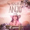 Asas de Anjo