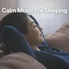 Calm Music For Sleeping, Pt. 4