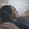 Calm Music For Sleeping, Pt. 8