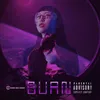 About Burn Song