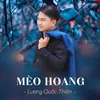 About Mèo Hoang Song