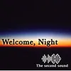 About Welcome, Night Song