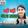 About Ghadi Ghadi Mola Sataye Song