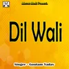 About Dil Wali Song