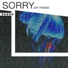 About Sorry Song