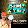 About Dekha Marda Ke Mehariya Marle Ba Bhojpuri Song