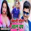 About Javani Tohar Aalu Chap Song