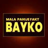 About Mala Pahije Fakt Bayko Song