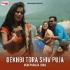 About DEKHBI TORA SHIV PUJA Song