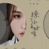 About 撩下小主好难 Song