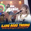 About Ilang Roso Tresno Song