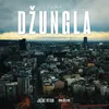 About Dzungla Song