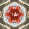 About Dalia Song