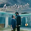 About Apudepudo Song