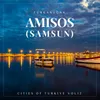 About Amisos: Cities of Turkiye, Vol. 12 Samsun Song