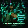 About Amores Prohibidos Song