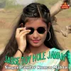 About Jabse Toy Hole Jawan Song