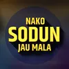 Nako Sodun Jau Mala Mohan Kusumbe Remix