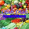 About Olah Olah Song