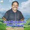 About Chal Buleinemi Phurli Jharan Song