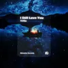 About I Still Love You Song