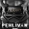 Pehlivan