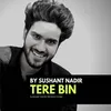 About Tere Bin Song