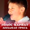 About Голос Карпат Song