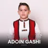 Kosove e Adem Jasharit