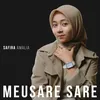 About Meusare Sare Song