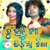 About Tu Habu Mo Chidia Tika Song