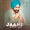 About Jaane Meriye Song