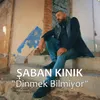 Dinmek Bilmiyor