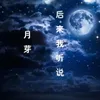 About 后来我听说 Song