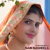About Nain Nasheela Song